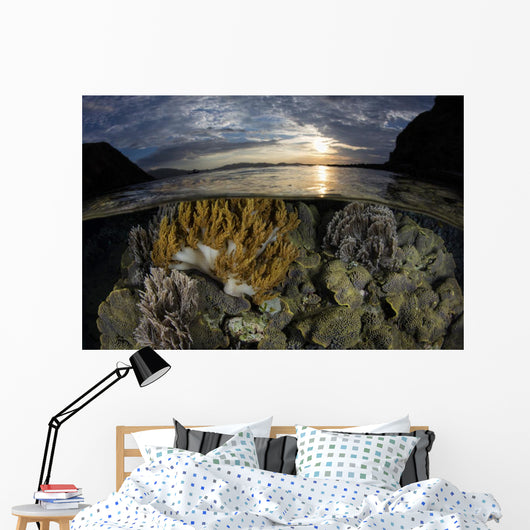 Beautiful Set Corals Grows Surface Wall Decal