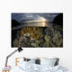 Beautiful Set Corals Grows Surface Wall Decal