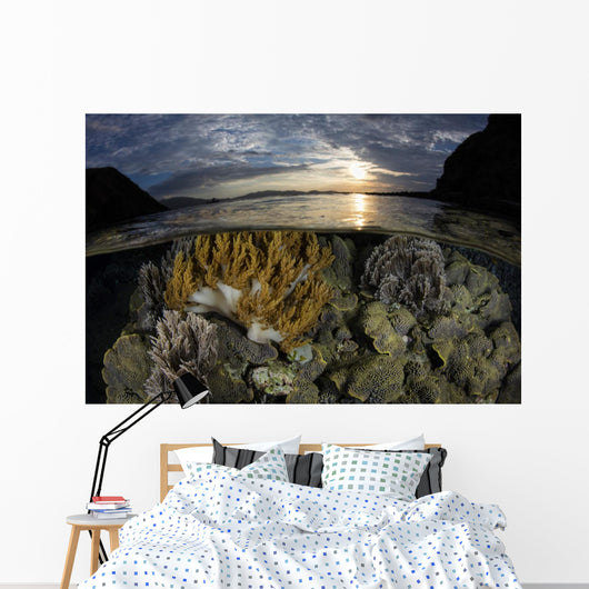 Beautiful Set Corals Grows Surface Wall Decal