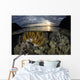 Beautiful Set Corals Grows Surface Wall Decal