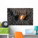 Orange Anemonefish Peeks out Wall Decal