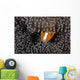 Orange Anemonefish Peeks out Wall Decal
