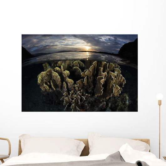Beautiful Set Corals Grows Sunset Wall Decal