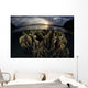 Beautiful Set Corals Grows Sunset Wall Decal