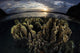 Beautiful Set Corals Grows Sunset Wall Decal