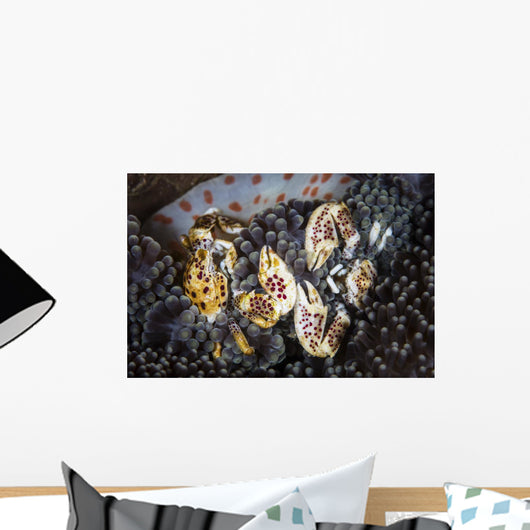 Pair Porcelain Crabs Cling Wall Decal