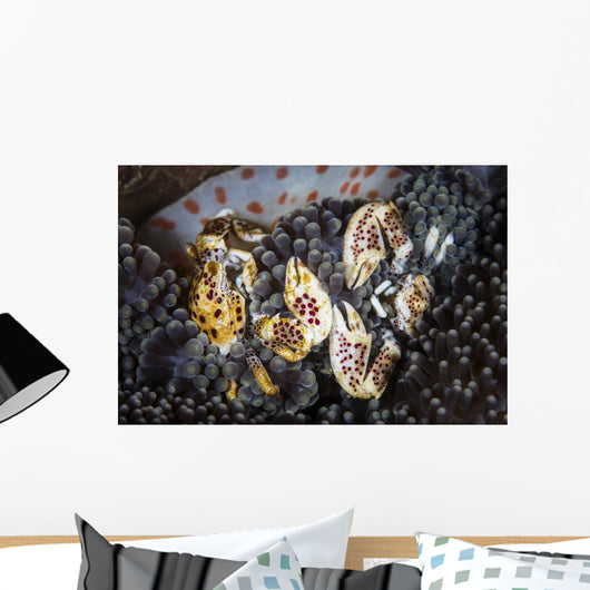 Pair Porcelain Crabs Cling Wall Decal