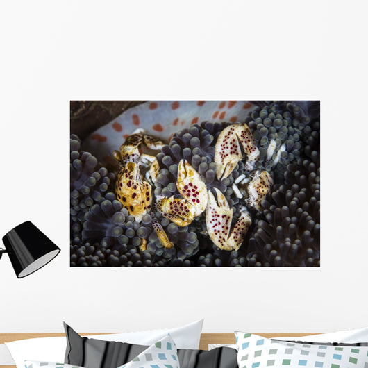 Pair Porcelain Crabs Cling Wall Decal