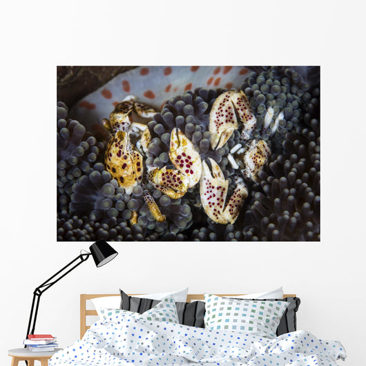 Pair Porcelain Crabs Cling Wall Decal