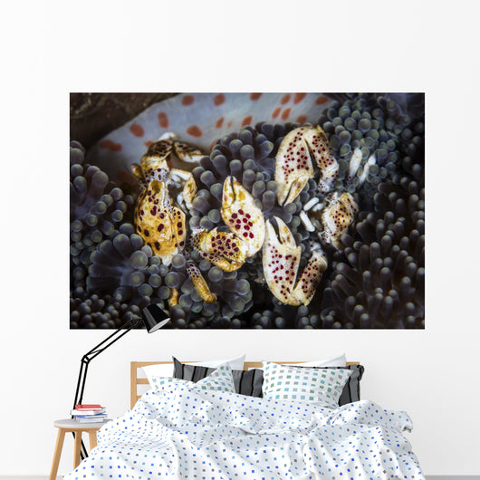 Pair Porcelain Crabs Cling Wall Decal