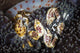 Pair Porcelain Crabs Cling Wall Decal