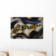Detail Colorful Giant Clam Wall Decal