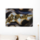 Detail Colorful Giant Clam Wall Decal