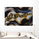 Detail Colorful Giant Clam Wall Decal
