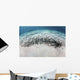 School Juvenile Striped Eel Wall Decal