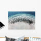 School Juvenile Striped Eel Wall Decal