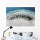 School Juvenile Striped Eel Wall Decal
