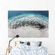 School Juvenile Striped Eel Wall Decal