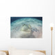 Blue-spotted Stingray Swims over Wall Decal