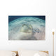 Blue-spotted Stingray Swims over Wall Decal