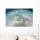Blue-spotted Stingray Swims over Wall Decal