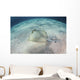 Blue-spotted Stingray Swims over Wall Decal