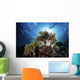 Snorkeler Swims over Reef Light Rays Wall Decal