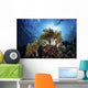 Snorkeler Swims over Reef Light Rays Wall Decal