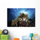Snorkeler Swims over Reef Light Rays Wall Decal