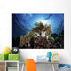 Snorkeler Swims over Reef Light Rays Wall Decal