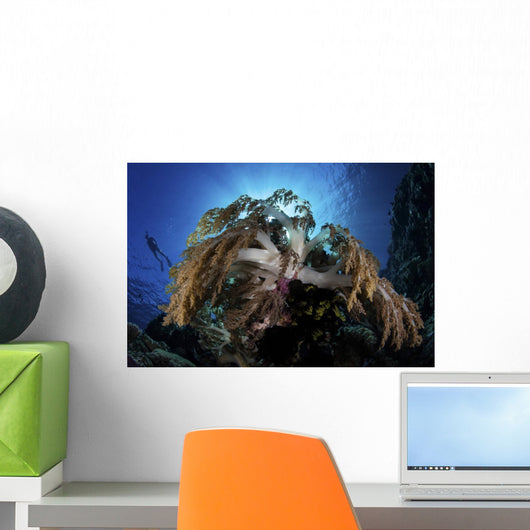 Snorkeler Swims over Reef Wall Decal