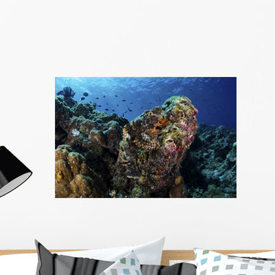 Large Scorpionfish Camouflages Itself Wall Decal shown on a wall