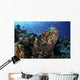 Large Scorpionfish Camouflages Itself Wall Decal