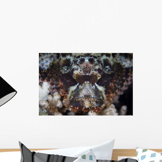 Scorpionfish Waits to Ambush Wall Decal