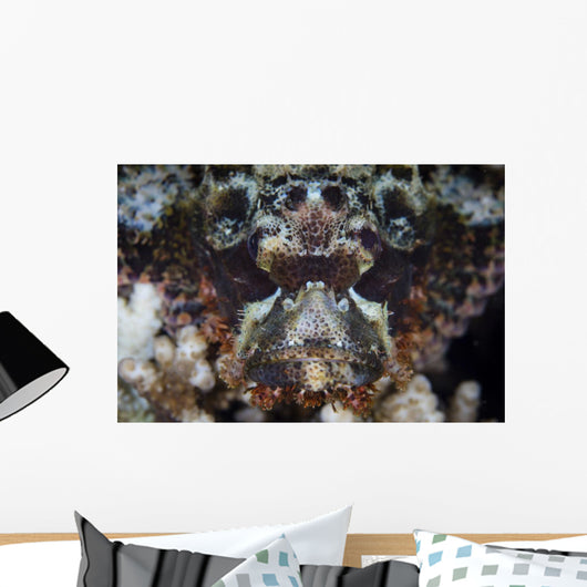 Scorpionfish Waits to Ambush Wall Decal