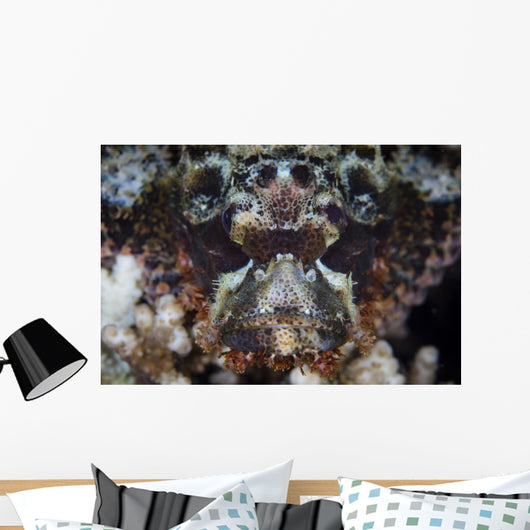 Scorpionfish Waits to Ambush Wall Decal