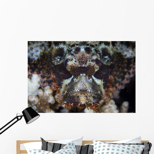 Scorpionfish Waits to Ambush Wall Decal