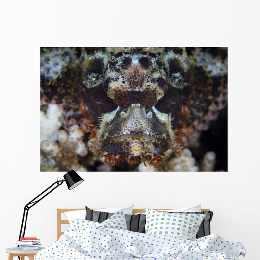 Scorpionfish Waits to Ambush Wall Decal