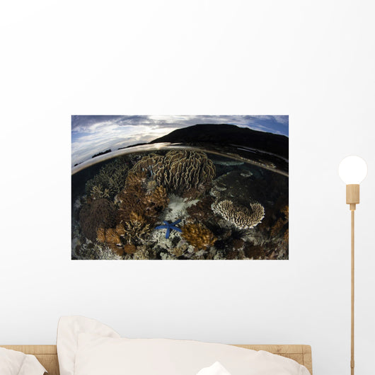 Array Corals and Invertebrates Wall Decal