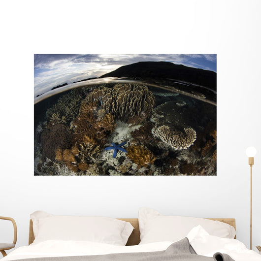 Array Corals and Invertebrates Wall Decal
