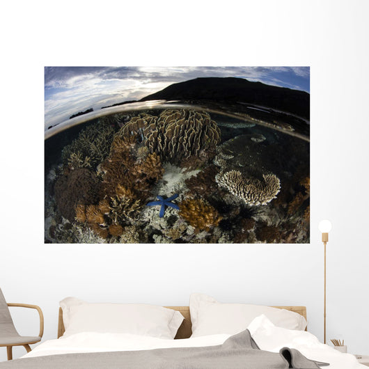 Array Corals and Invertebrates Wall Decal