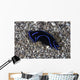 Blue Velvet Head Shield Wall Decal