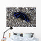 Blue Velvet Head Shield Wall Decal