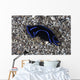 Blue Velvet Head Shield Wall Decal
