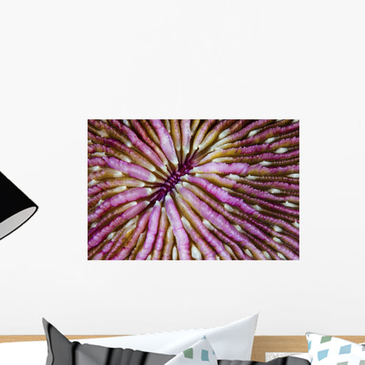 Detail Beautiful Mushroom Coral Wall Decal