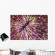 Detail Beautiful Mushroom Coral Wall Decal