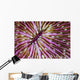 Detail Beautiful Mushroom Coral Wall Decal