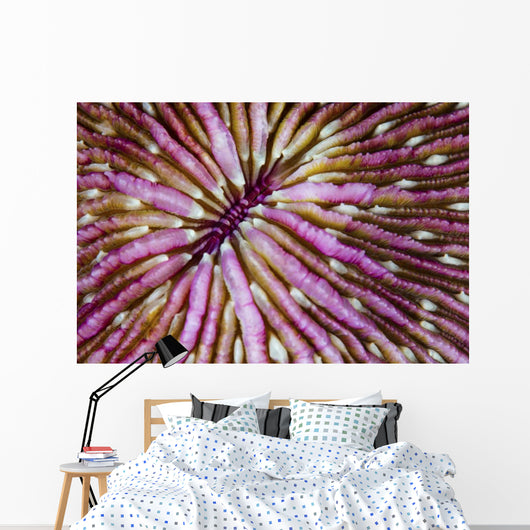 Detail Beautiful Mushroom Coral Wall Decal