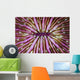 Detail Beautiful Mushroom Coral Horizontal Wall Decal