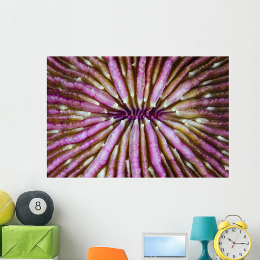 Detail Beautiful Mushroom Coral Horizontal Wall Decal
